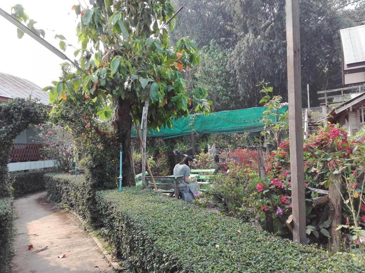 Mr Jan Guesthouse Pai Bagian luar foto